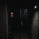 Knight Light Motion Activated Alarm & Light w/Remote